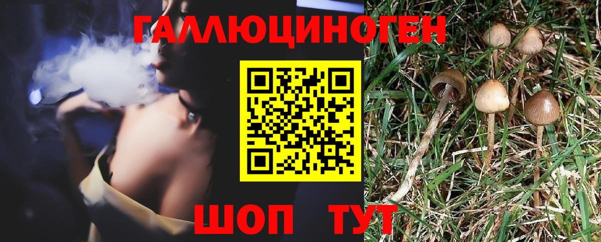Апшеронск  Галлюциногенные грибы Psilocybe  Псилоцибиновые грибы мухоморы  Вход с VPN 